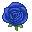 blue rose